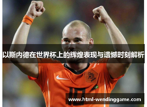 以斯内德在世界杯上的辉煌表现与遗憾时刻解析