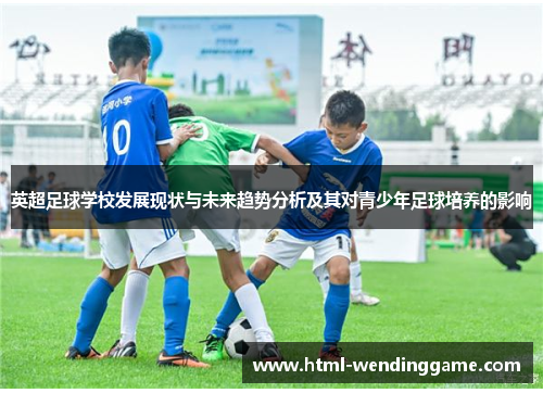 英超足球学校发展现状与未来趋势分析及其对青少年足球培养的影响