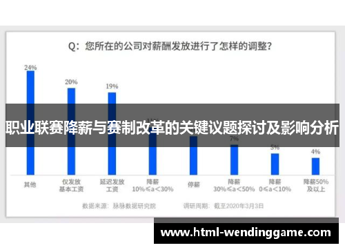 职业联赛降薪与赛制改革的关键议题探讨及影响分析