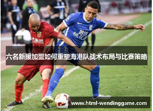 六名新援加盟如何重塑海港队战术布局与比赛策略