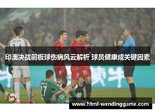 印澳决战前板球伤病风云解析 球员健康成关键因素