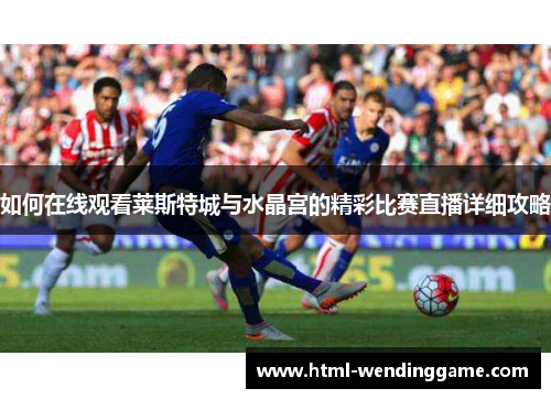 如何在线观看莱斯特城与水晶宫的精彩比赛直播详细攻略