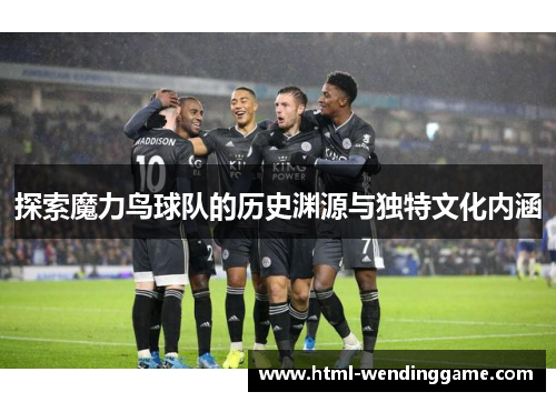 探索魔力鸟球队的历史渊源与独特文化内涵
