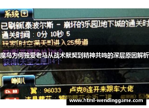 魔鸟为何独爱老马从战术默契到精神共鸣的深层原因解析